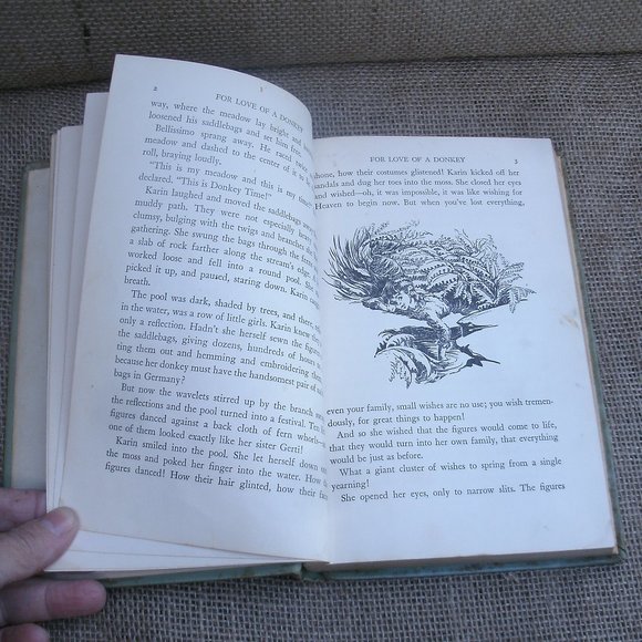 For Love of a Donkey by Betty Morgan Bowen - Picture 6 of 16